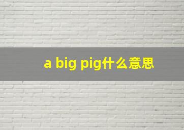 a big pig什么意思